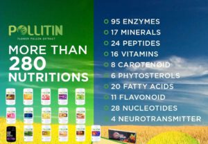 Read more about the article What is pollitin?