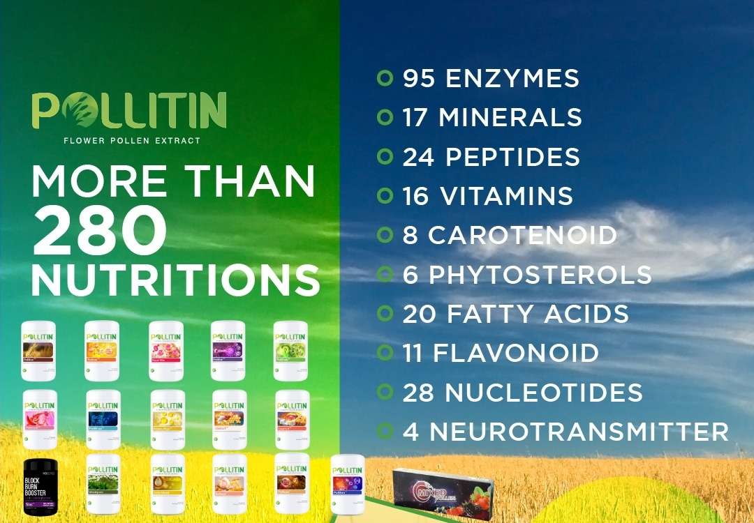 You are currently viewing What is pollitin?