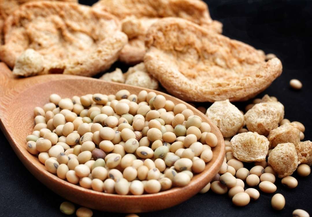 You are currently viewing The Wondrous Benefits of Soy Protein