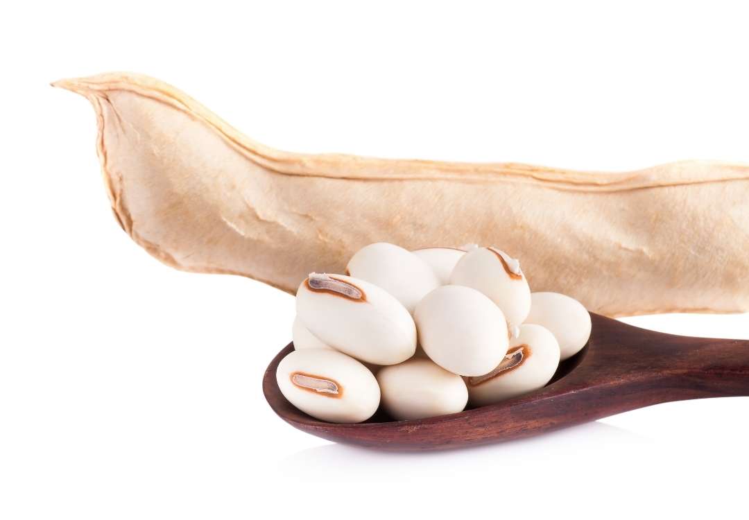 You are currently viewing Can white kidney beans block carbs?