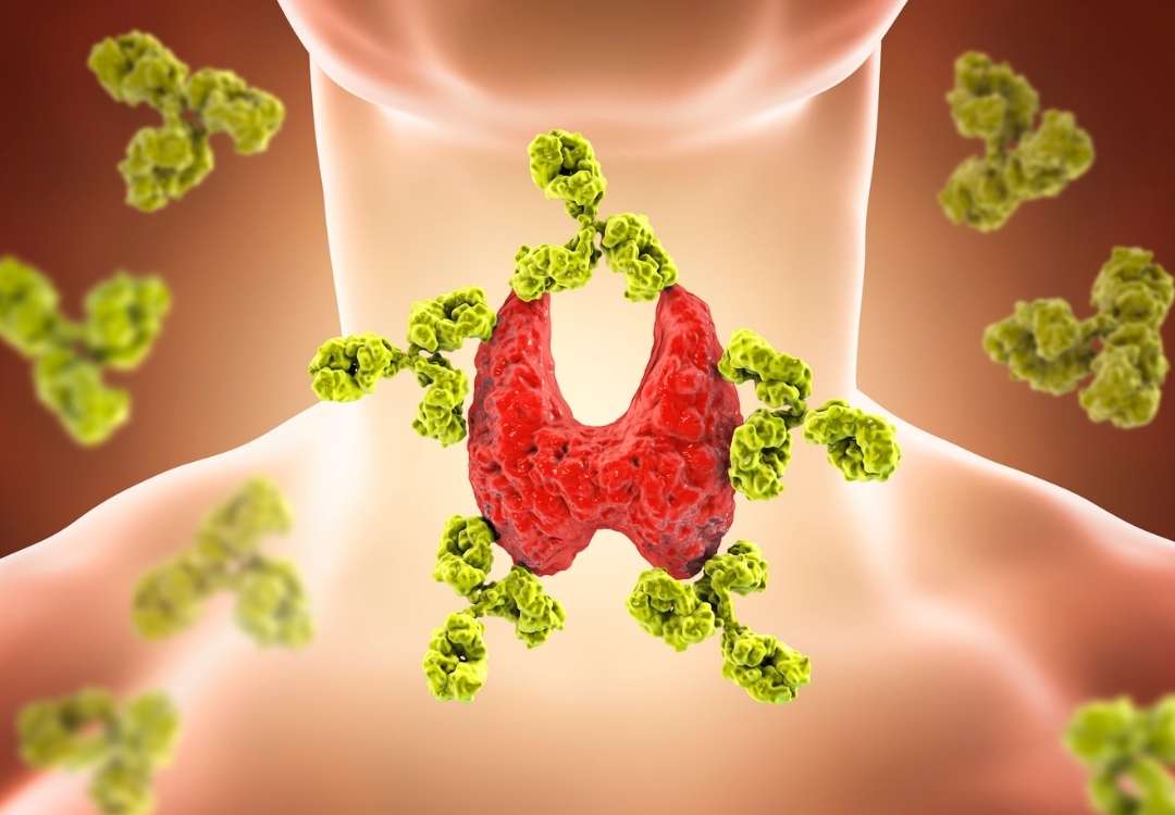 You are currently viewing What is Immunoglobulin A (IgA)?