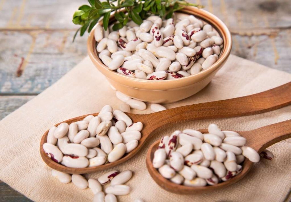 What is white kidney bean extract good for We Golden Age
