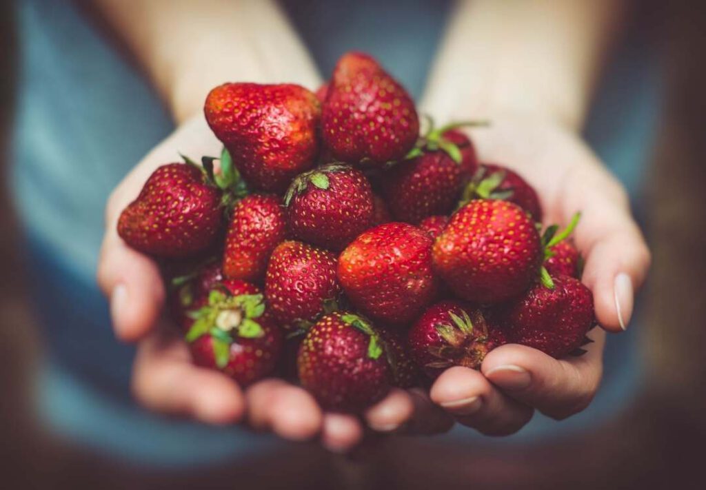 What strawberries do for your body We Golden Age