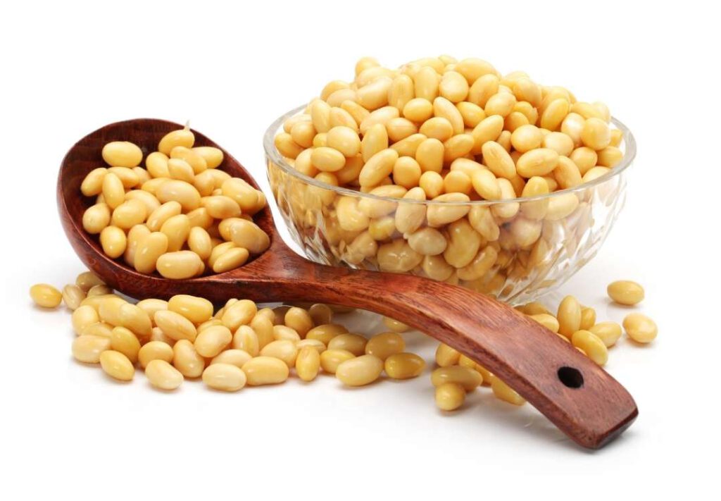 Why are soybeans good for you ? We Golden Age