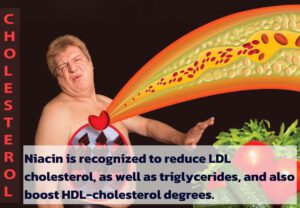 Read more about the article What is niacin good for older adults?